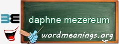 WordMeaning blackboard for daphne mezereum